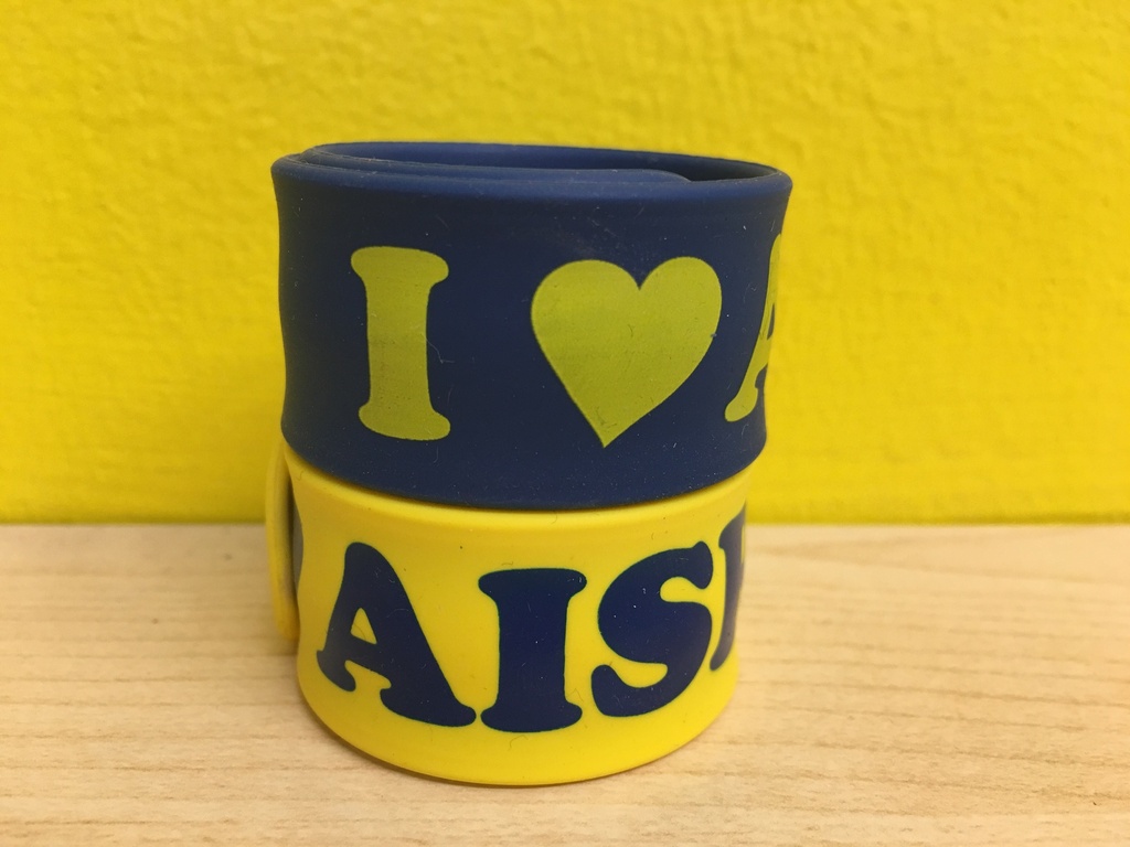 AIS-R Snap Bracelet