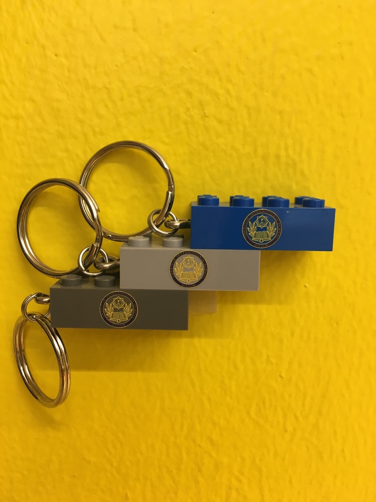 AIS-R Lego Keychain