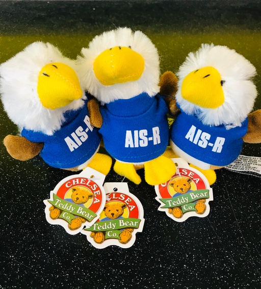 AIS-R Eagle Keychain